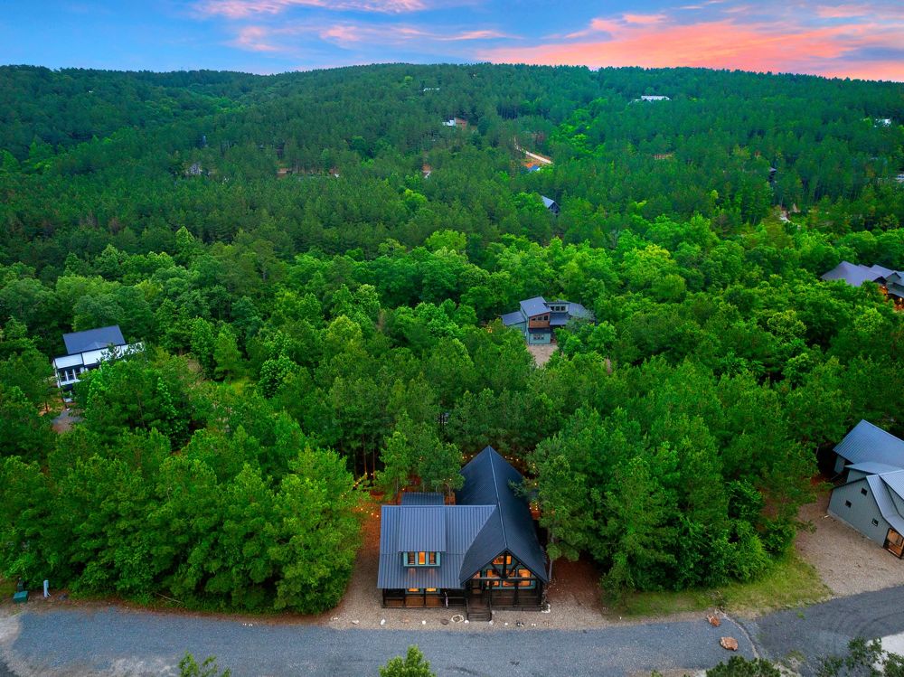 Aerial view of the cabin and forest